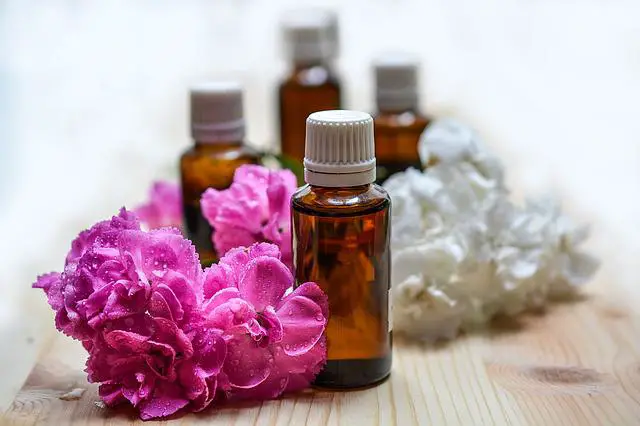 Best Essential oils for Hives