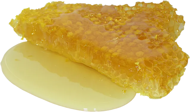 Can I take honey from a first-year hive?