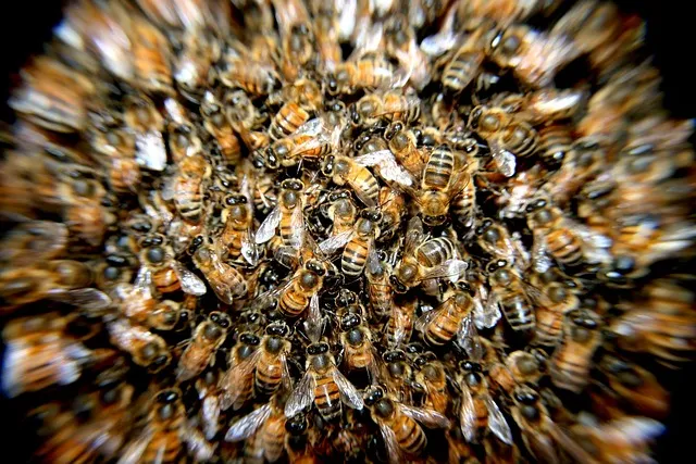 How do you keep moisture out of a beehive in the winter?