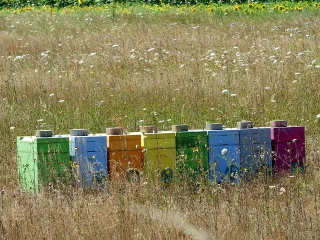How many acres do you need for beekeeping?