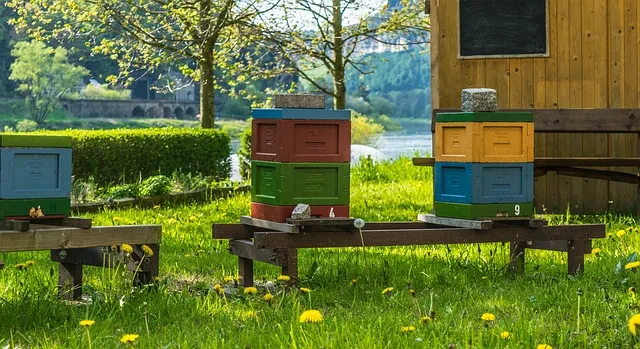 How far should a bee box be from a house?