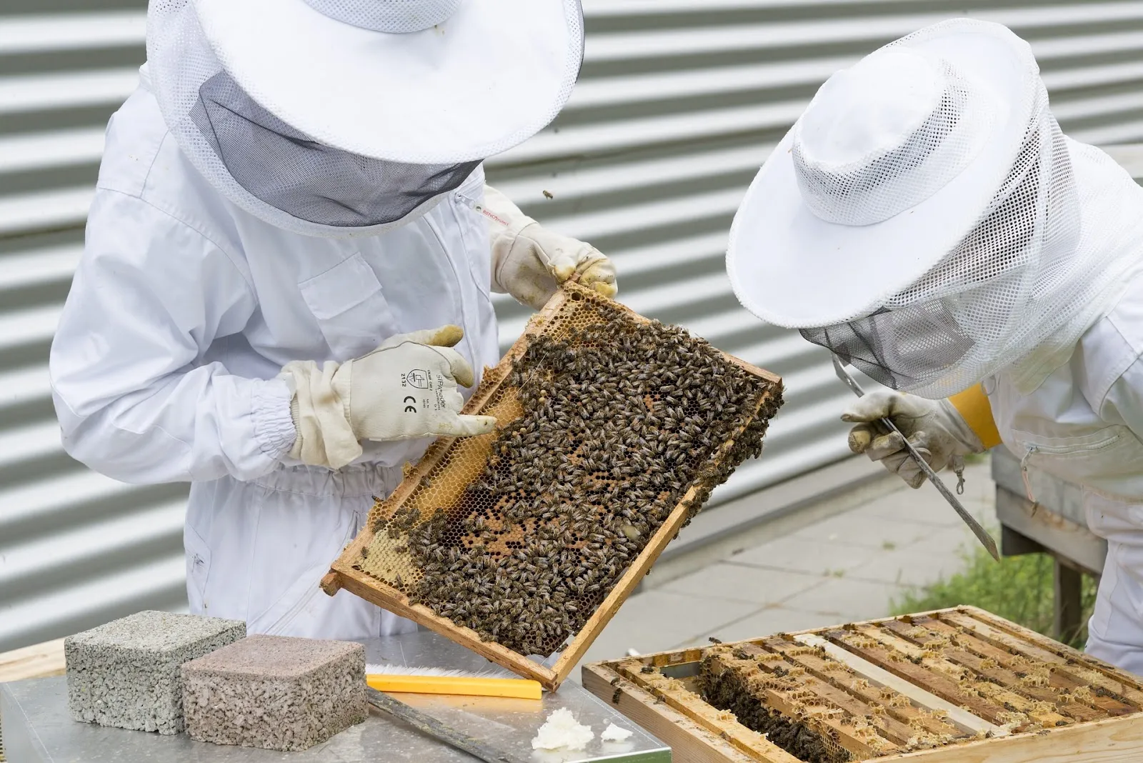 When should you not inspect a beehive?